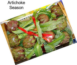 Artichoke Season