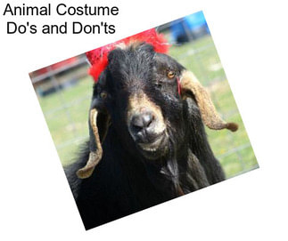 Animal Costume Do\'s and Don\'ts