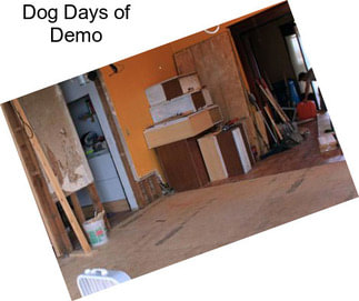 Dog Days of Demo