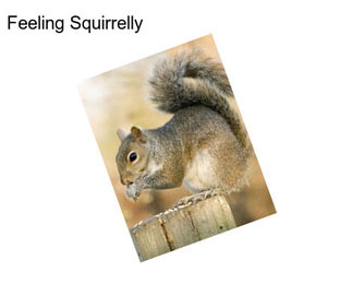 Feeling Squirrelly