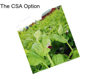 The CSA Option