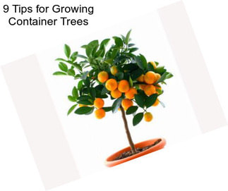 9 Tips for Growing Container Trees