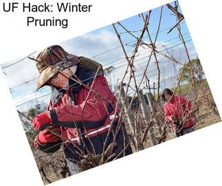 UF Hack: Winter Pruning