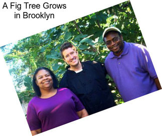 A Fig Tree Grows in Brooklyn