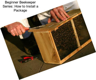 Beginner Beekeeper Series: How to Install a Package