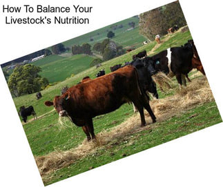 How To Balance Your Livestock\'s Nutrition