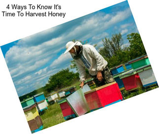 4 Ways To Know It\'s Time To Harvest Honey