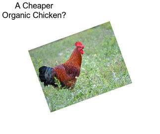 A Cheaper Organic Chicken?