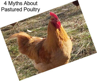 4 Myths About Pastured Poultry