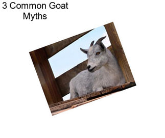 3 Common Goat Myths