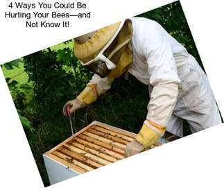 4 Ways You Could Be Hurting Your Bees—and Not Know It!