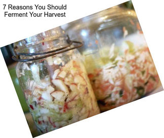 7 Reasons You Should Ferment Your Harvest