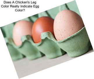 Does A Chicken\'s Leg Color Really Indicate Egg Color?