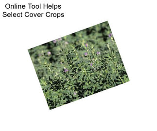 Online Tool Helps Select Cover Crops