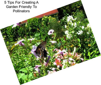 5 Tips For Creating A Garden Friendly To Pollinators