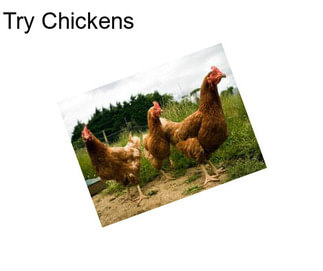 Try Chickens