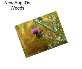 New App IDs Weeds