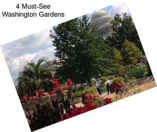 4 Must-See Washington Gardens