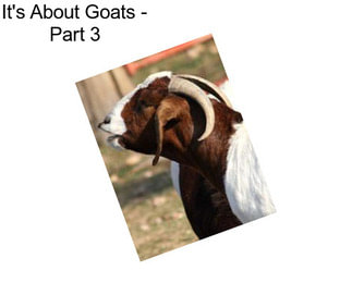 It\'s About Goats - Part 3