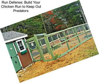 Run Defense: Build Your Chicken Run to Keep Out Predators