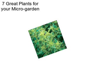 7 Great Plants for your Micro-garden