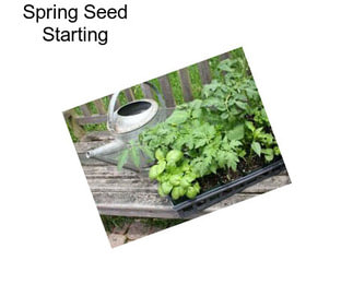 Spring Seed Starting