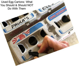 Used Egg Cartons: What You Should & Should NOT Do With Them