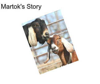 Martok\'s Story