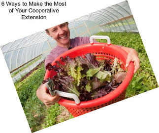 6 Ways to Make the Most of Your Cooperative Extension