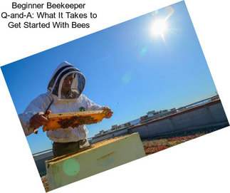 Beginner Beekeeper Q-and-A: What It Takes to Get Started With Bees