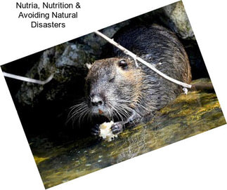 Nutria, Nutrition & Avoiding Natural Disasters