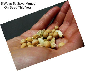 5 Ways To Save Money On Seed This Year