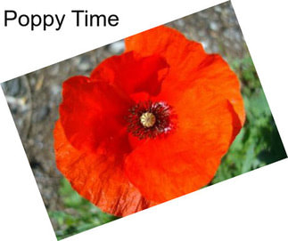 Poppy Time