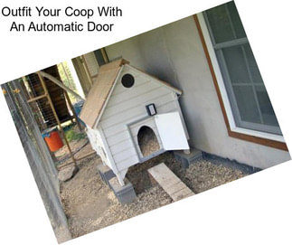 Outfit Your Coop With An Automatic Door