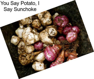 You Say Potato, I Say Sunchoke