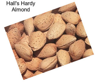 Hall\'s Hardy Almond