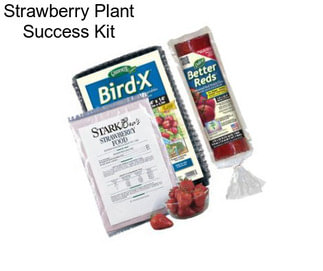 Strawberry Plant Success Kit