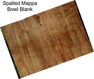 Spalted Mappa Bowl Blank