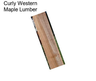 Curly Western Maple Lumber