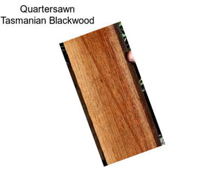 Quartersawn Tasmanian Blackwood