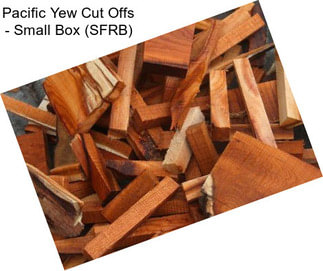 Pacific Yew Cut Offs - Small Box (SFRB)