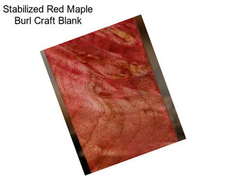 Stabilized Red Maple Burl Craft Blank