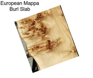 European Mappa Burl Slab