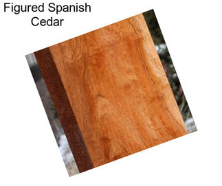 Figured Spanish Cedar