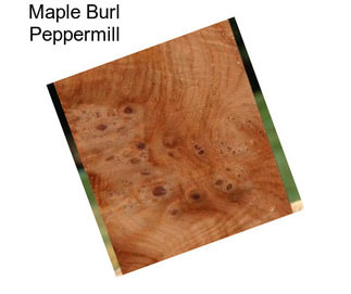 Maple Burl Peppermill