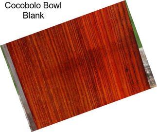 Cocobolo Bowl Blank