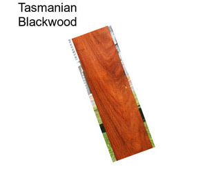 Tasmanian Blackwood