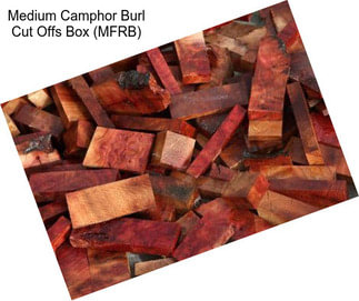 Medium Camphor Burl Cut Offs Box (MFRB)