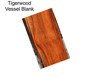 Tigerwood Vessel Blank