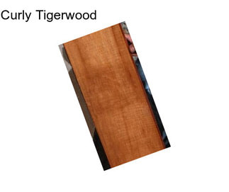 Curly Tigerwood